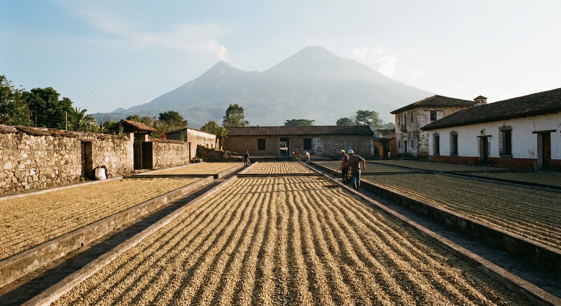 Guatemalanske kaffe-bønder i opplæring