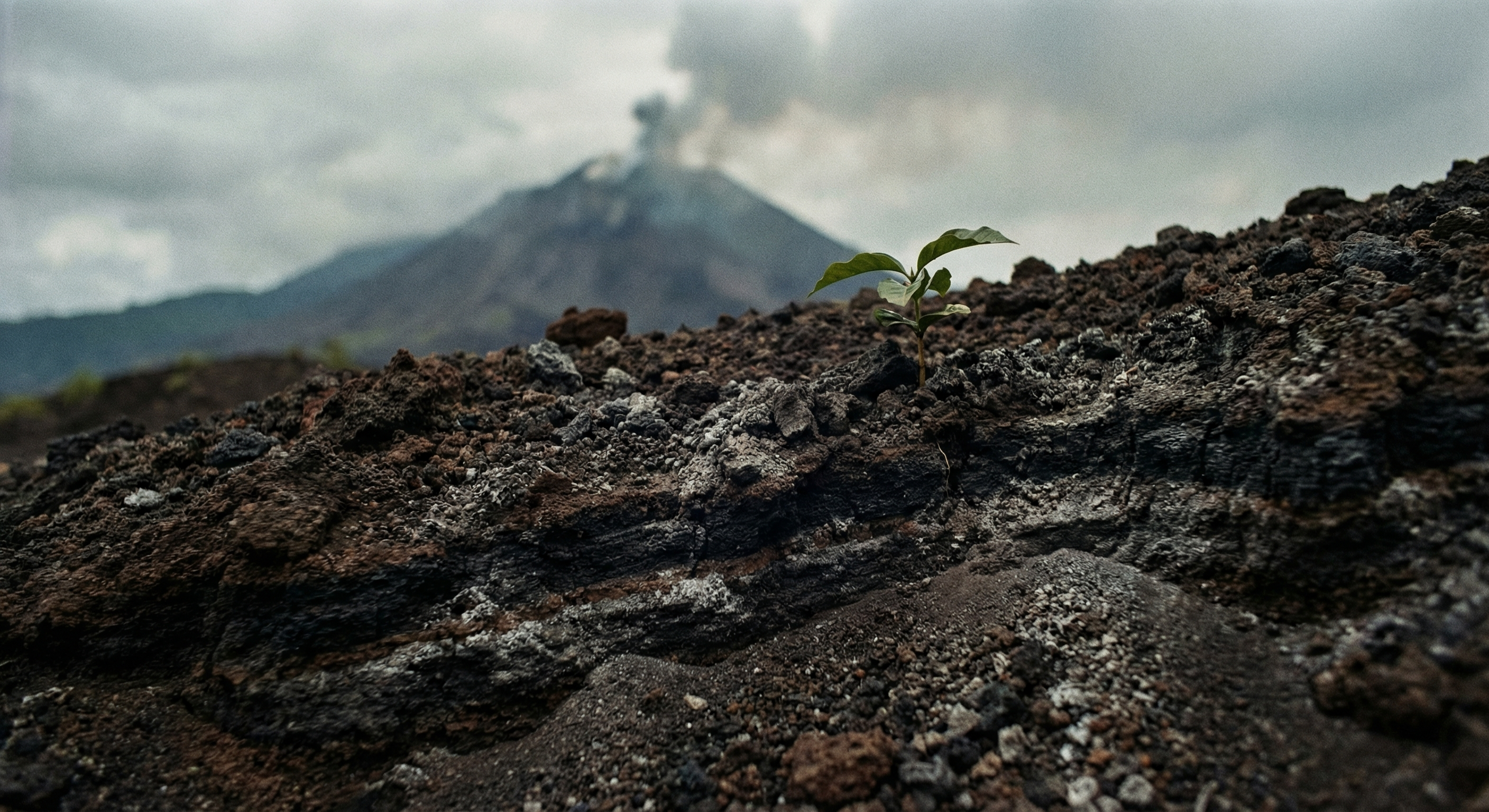 Vulkansk jord: Hemmeligheten bak Guatemalas smak